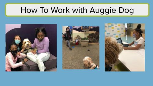 Working with Auggie Slides